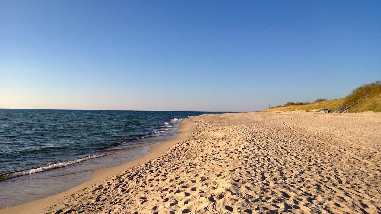 Staigus atšilimas sukėlė grėsmę: Olandų kepurės lankytojams patariama laikytis atstumo