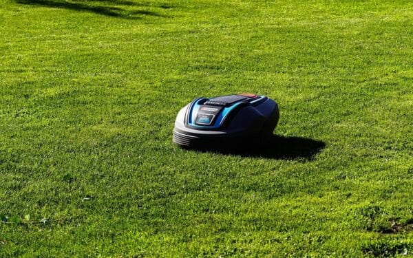 Išmanus kiemas be pastangų: robotai vejapjovės dirba net jums nesant namuose