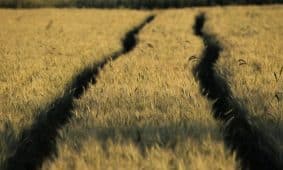 Žemė. Pixabay nuotr.