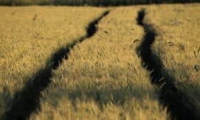 Žemė. Pixabay nuotr.