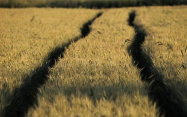 Vienas neteisingas žingsnis ir viską teks kartoti iš naujo: kaip vyksta žemės pardavimas