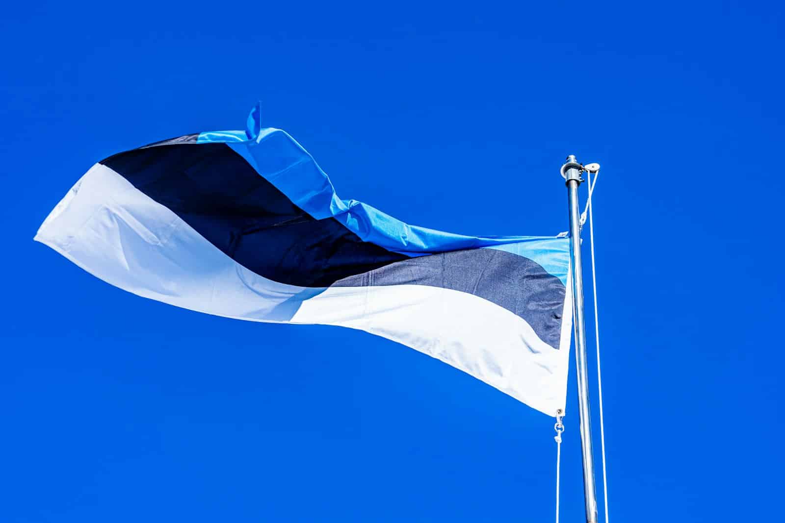 Žalioji Estijos transformacija: emisijos krito 9%, o atsinaujinanti energija augo penktadaliu