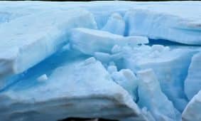 Cracked ice and blue water are visible.