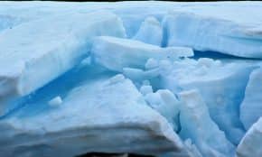 Cracked ice and blue water are visible.