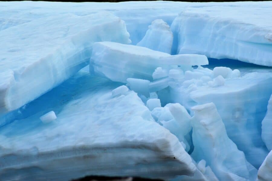 Cracked ice and blue water are visible.