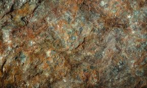 Vario luitas. Unsplash nuotr.