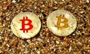 brown and white round ornament on brown and black pebbles