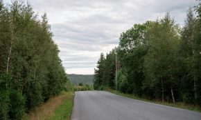 an empty road surrounded by trees and grass