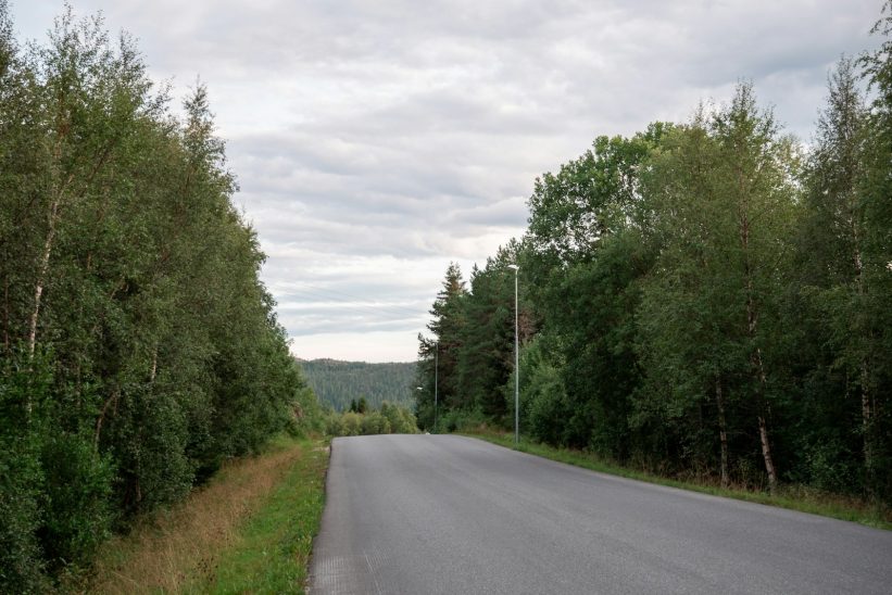 an empty road surrounded by trees and grass