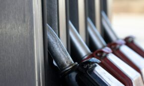 Degalai. Unsplash nuotr.