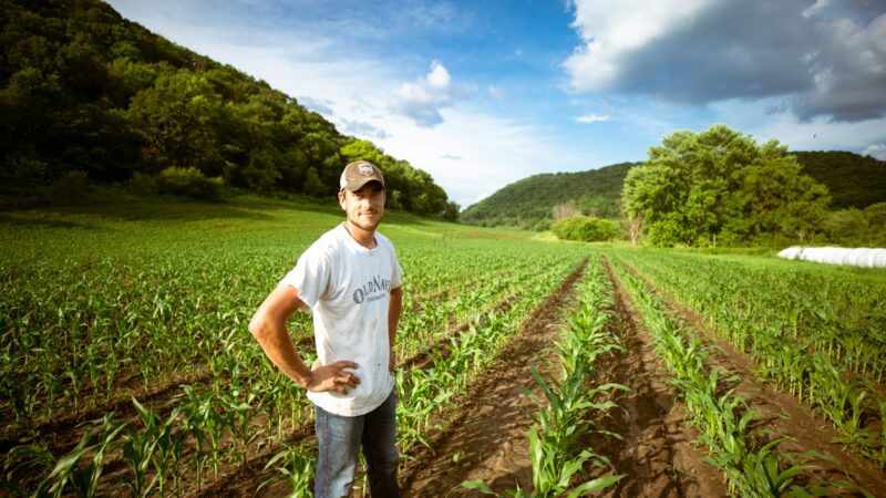 Atėnų „Wikifarmer” pritraukė 7,1 mln. eurų: žada pertvarkyti žemės ūkio prekybą su DI