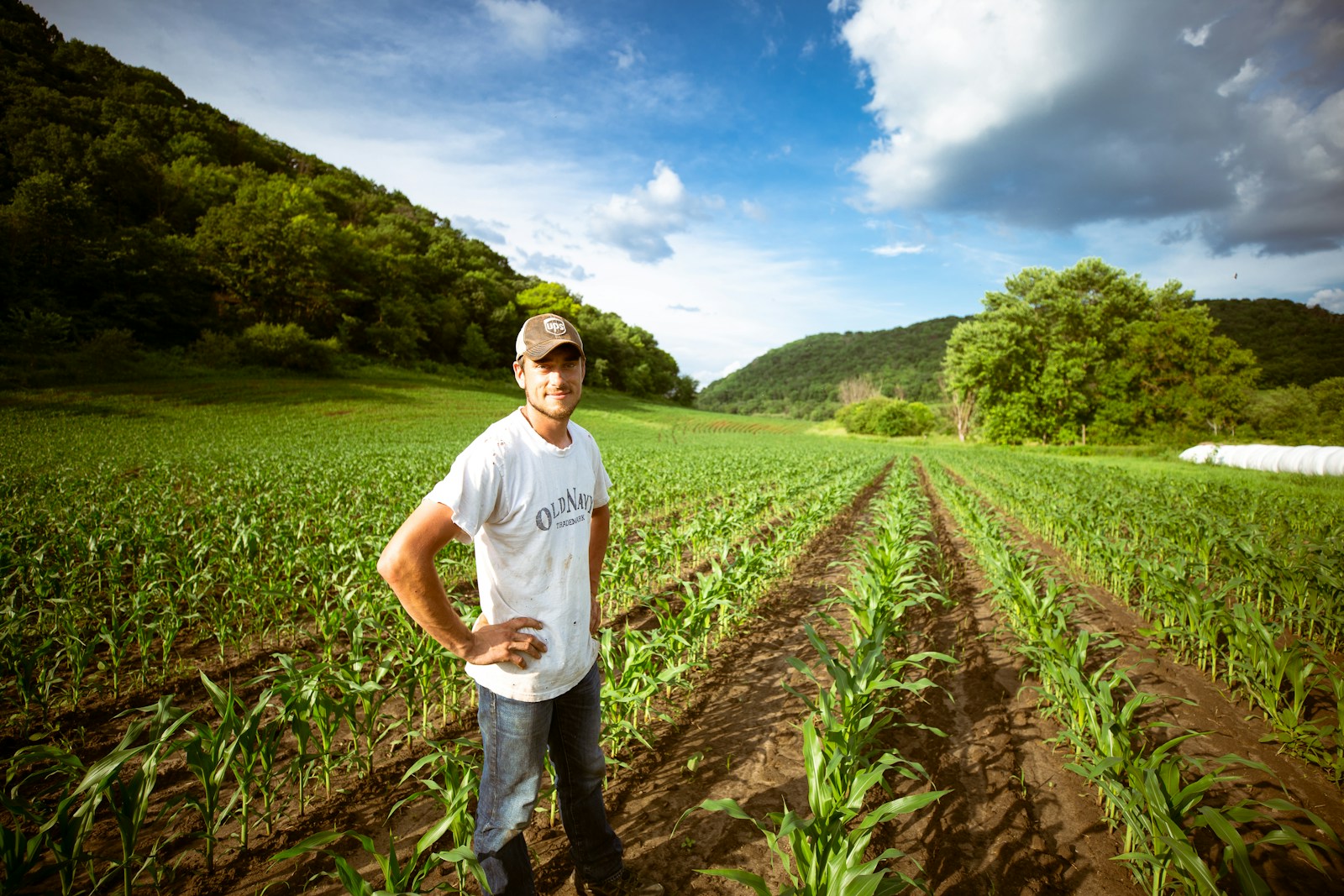 Atėnų „Wikifarmer” pritraukė 7,1 mln. eurų: žada pertvarkyti žemės ūkio prekybą su DI