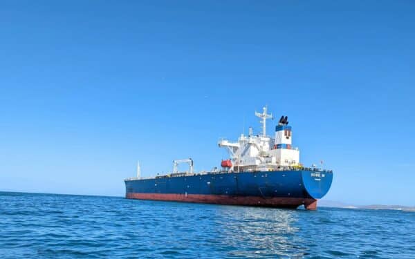 Prancūzija nori lydėti naftos tanklaivius per Hormūzo sąsiaurį ir kviečia jungtis kitas valstybes