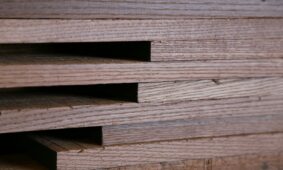 Mediena. Unsplash nuotr.