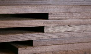 Mediena. Unsplash nuotr.