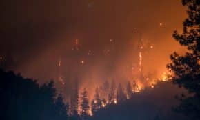 Gaisras. Unsplash nuotr.