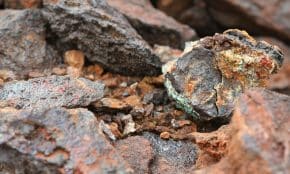 a close up of a rock with lichen on it