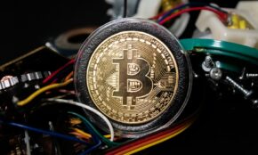 gold and black round ornament