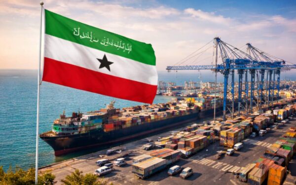 Somalilandas siūlo JAV prieigą prie savo naudingųjų iškasenų ir karinių bazių