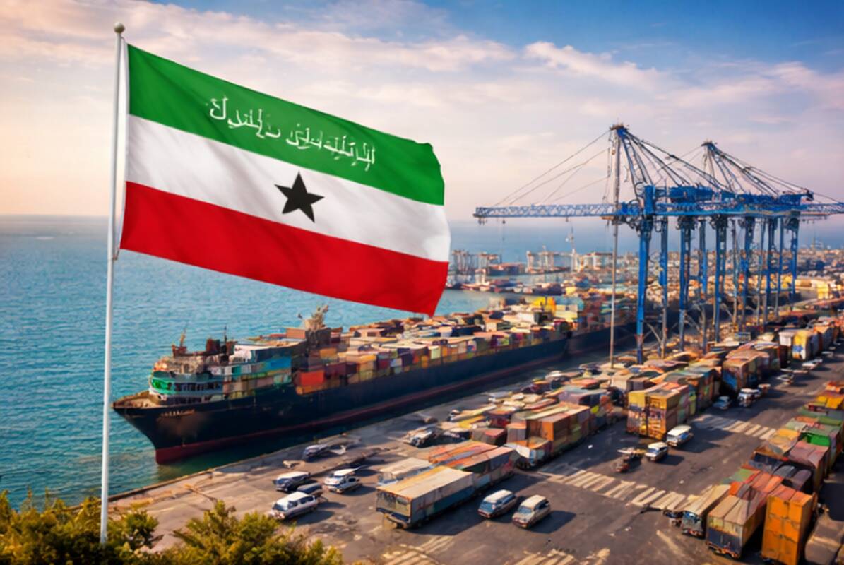 Somalilandas siūlo JAV prieigą prie savo naudingųjų iškasenų ir karinių bazių