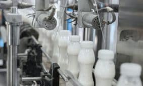 Pieno perdirbimo įmonė