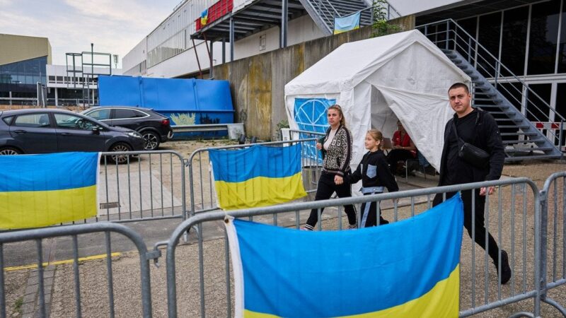 Baltijos šalys ir Ukraina stiprina bendradarbiavimą saugant atstatymo lėšas