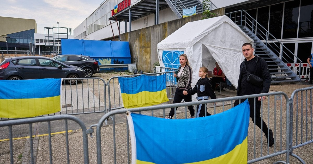 Baltijos šalys ir Ukraina stiprina bendradarbiavimą saugant atstatymo lėšas