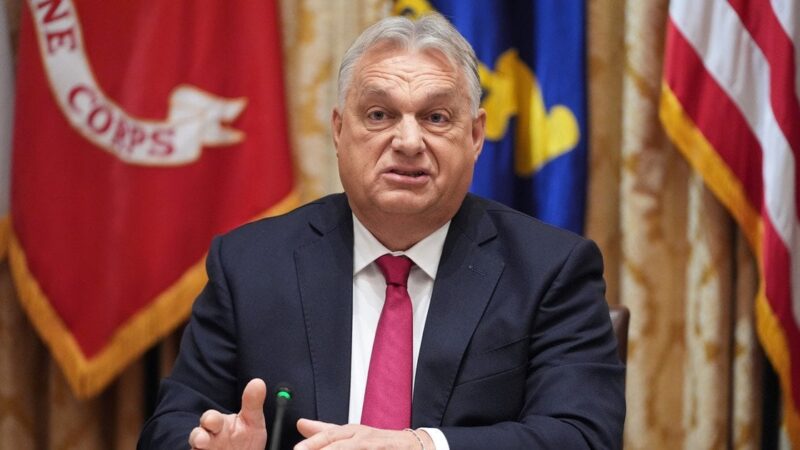 Buvęs ministras perspėja: ES negali veikti su „Trojos arkliu“ savo gretose