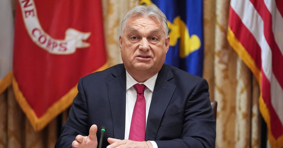 Buvęs ministras perspėja: ES negali veikti su „Trojos arkliu“ savo gretose