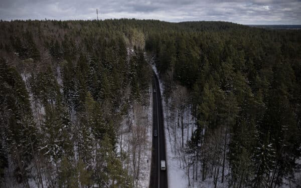 Vyriausybė: gynybos projektams valstybinių miškų žemę galima paversti kitomis naudmenomis