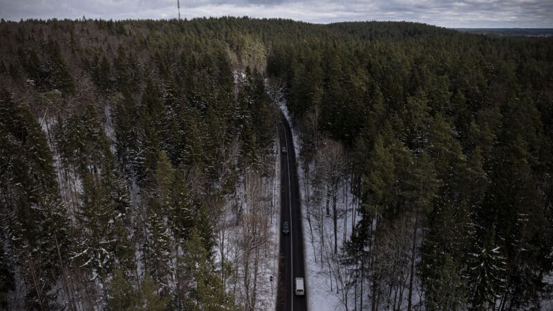 Vyriausybė: gynybos projektams valstybinių miškų žemę galima paversti kitomis naudmenomis