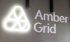 Amber Grid. ELTA / Dainius Labutis nuotr.