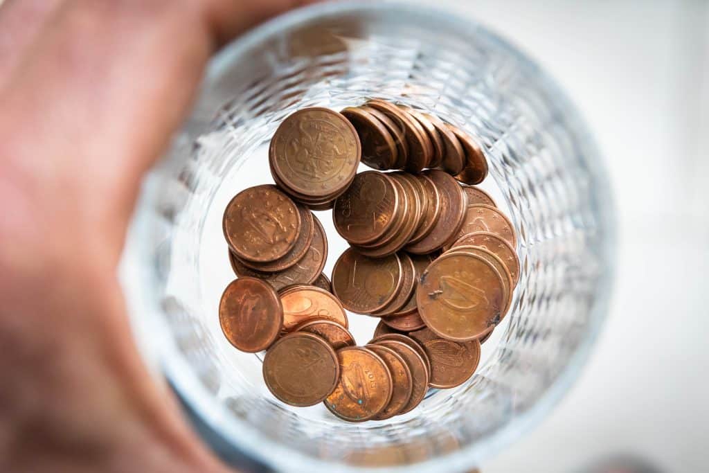 Centai. ELTA / Dainius Labutis nuotr.