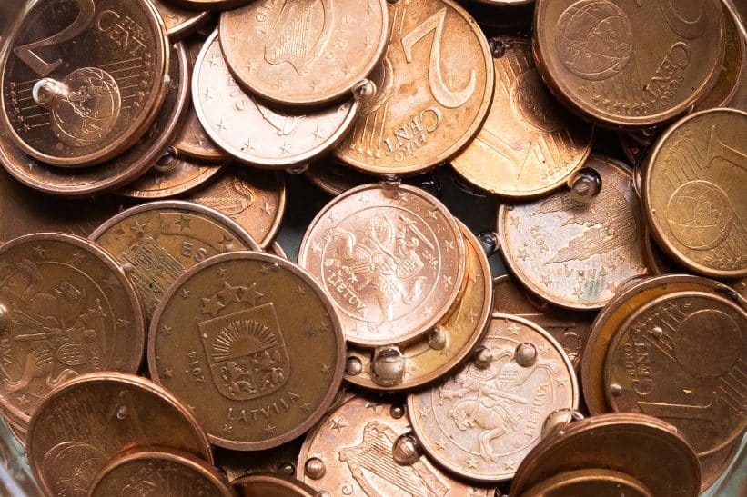 Centai. ELTA / Dainius Labutis nuotr.