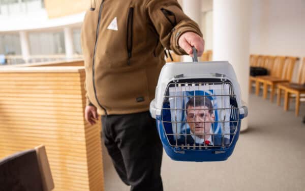 Seimo statuto pataisos neleistų katinui Nuodėguliui ar šunytei Perlai įsiamžinti įstatymuose
