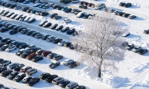 Automobiliai. ELTA / Andrius Ufartas nuotr.