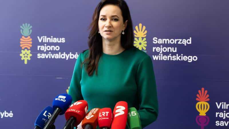 Ruginienė perspėja apie sudėtingą laikotarpį: Seimo laukia intensyvi sesija
