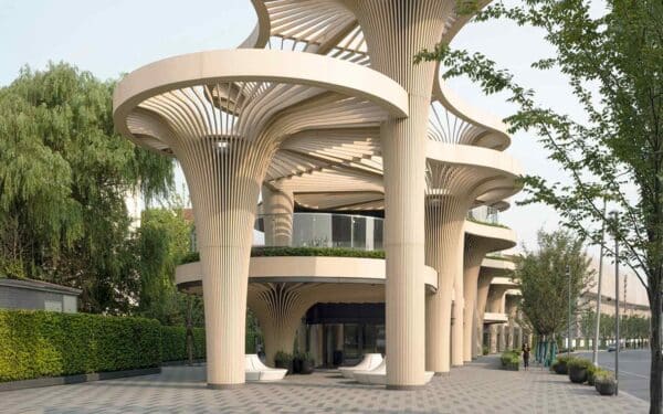 Energija iš „medžių“? Naujas projektas keičia supratimą apie saulės modulius