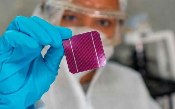 Šiukšlės iš virtuvės keičia viską: rado būdą kaip pagerinti saulės baterijas