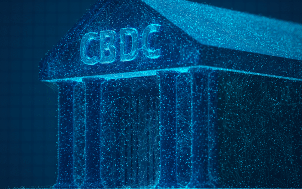 Įstatymų leidėjai siekia nuolatinio CBDC draudimo, laikinas ribojimas – nepakankamas