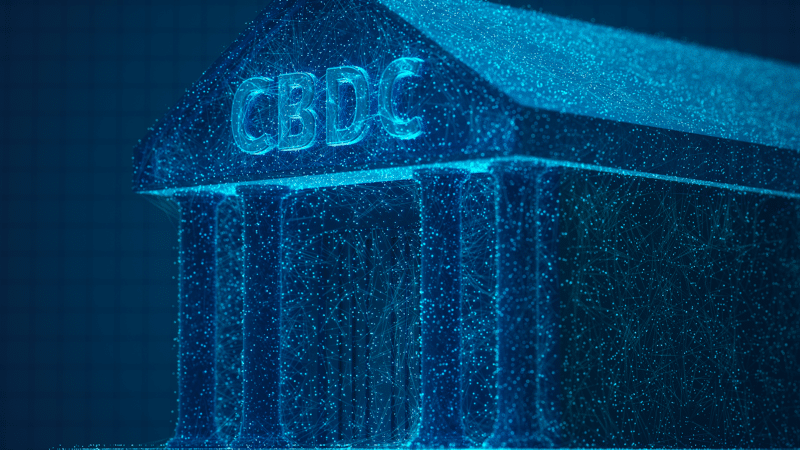 Įstatymų leidėjai siekia nuolatinio CBDC draudimo, laikinas ribojimas – nepakankamas