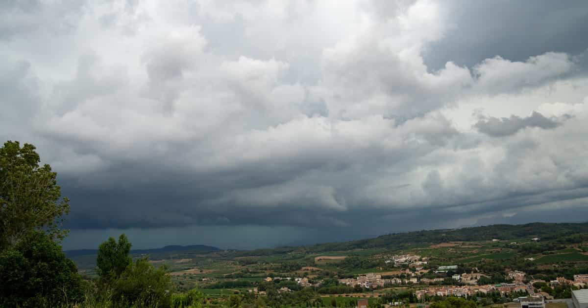 Klimato kaitos įtaka: karščio kaina regionui artėja prie kritinės ribos