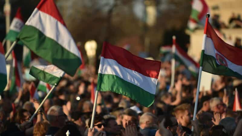 Ar Kremliaus botai kursto chaosą Vengrijoje? Prieš rinkimus plinta raginimai nužudyti Orbaną