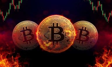 Anthony Pompliano fondas ProCap šluoja rinką: nupirko 450 BTC, dabar valdo net 5 457 bitkoinus_69a5ba4fb0c86.jpeg