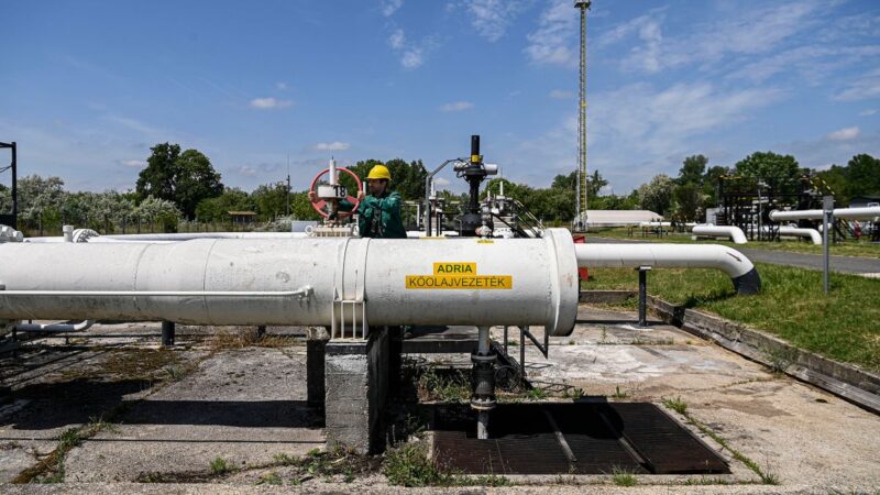 Sugriuvus svarbiai energetikos grandžiai į Europą Ukraina sušaukė dešimčių šalių diplomatus