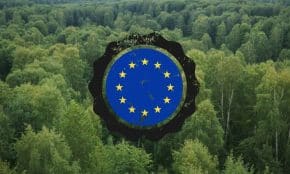europe forest, europos miskai