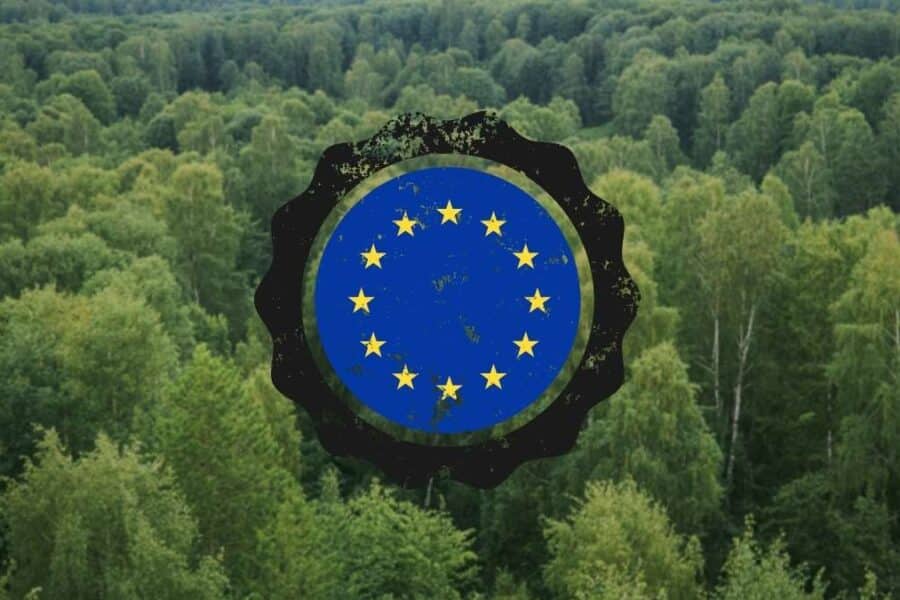 europe forest, europos miskai