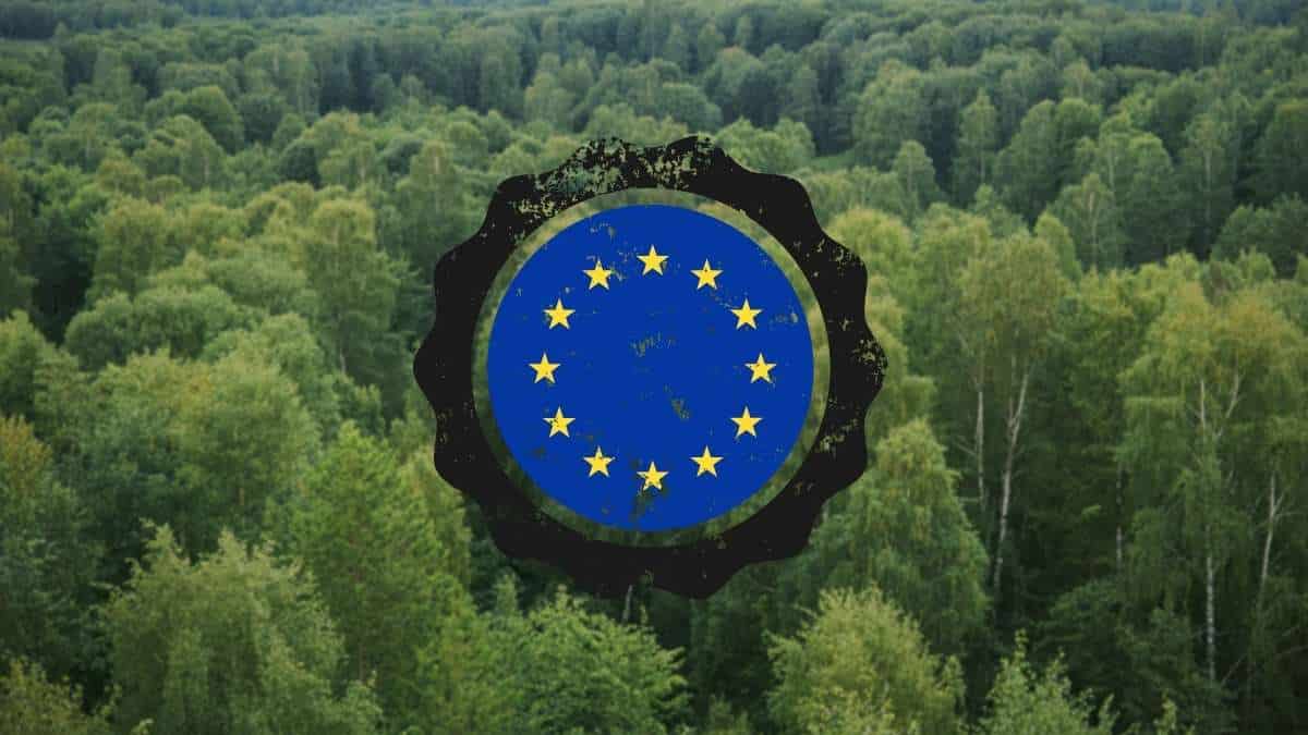 JAV Žemės ūkio departamentas: ES miškų naikinimo įstatymas gali atgrasyti eksportuotojus
