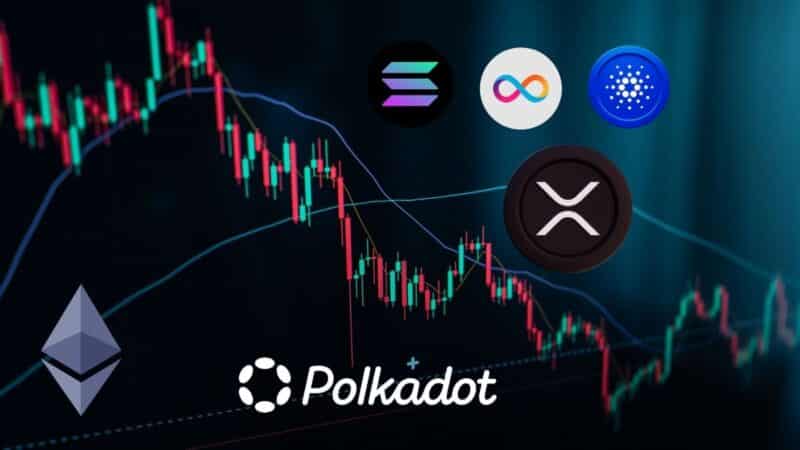 Altkoinų rinka prarado 209 mlrd. dolerių: ekspertai tvirtina, kad „altseason” nebegrįš