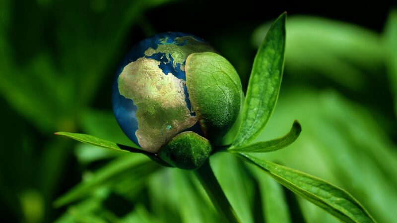 ES ruošia naują klimato politikos etapą: spręs dėl emisijų mažinimo po 2030 metų